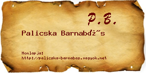 Palicska Barnabás névjegykártya